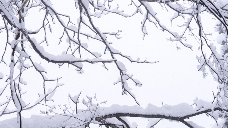 12/7「大雪」禁忌、習俗一次看！「棉被蓋頭」恐損運勢，３生肖財運旺炸|食尚玩家