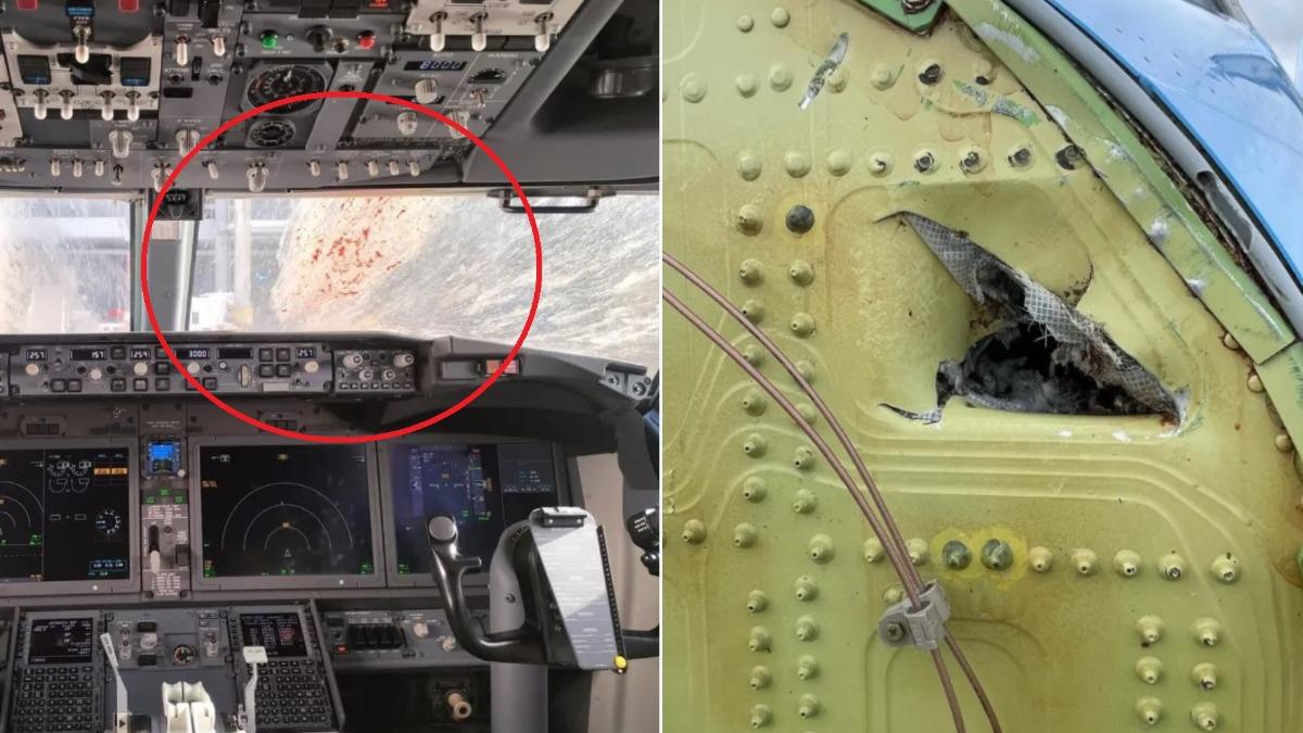 鳥擊巨大的衝擊力讓擋風玻璃破碎，就連機身也出現凹陷。（圖／翻攝自The Sun）