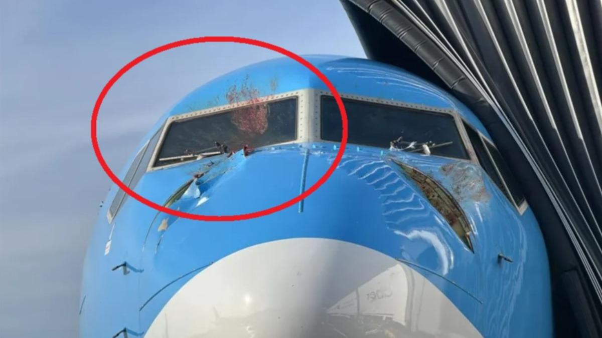 波音起飛遇鳥擊！機身撞出大洞擋風玻璃沾滿血跡│TVBS新聞網