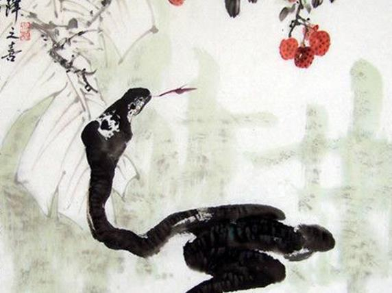 生肖蛇：属蛇人2月2日过后的运势走向