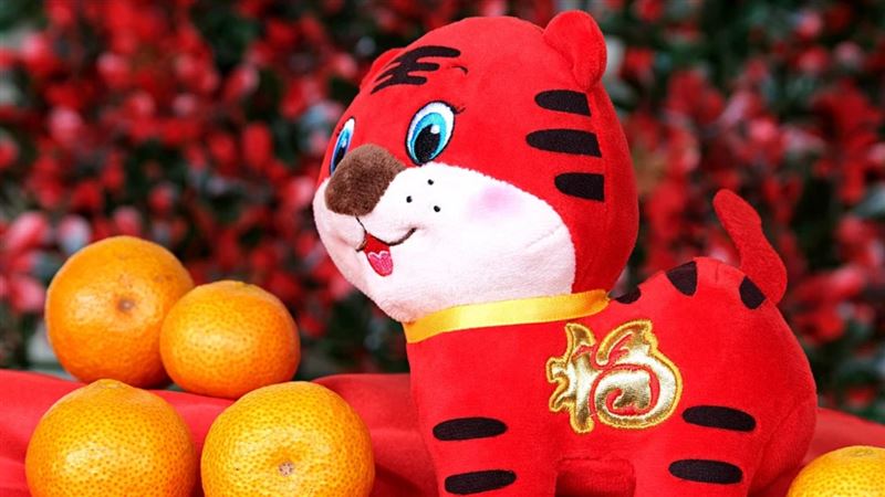 大年初三赤狗日!「5大禁忌」一次看禁吃1食物| 生活| 三立新聞網SETN.COM