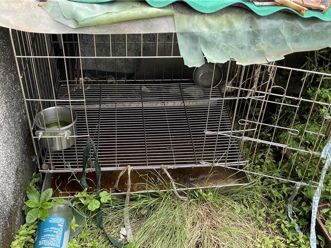 無良飼主爽出國獨留虛弱毛孩在家新北動保處開罰1.5萬- 生活- 中時