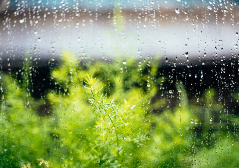 節氣「雨水」該怎麼應對？藏族醫師從生活5 面向保養身心| 健康遠見
