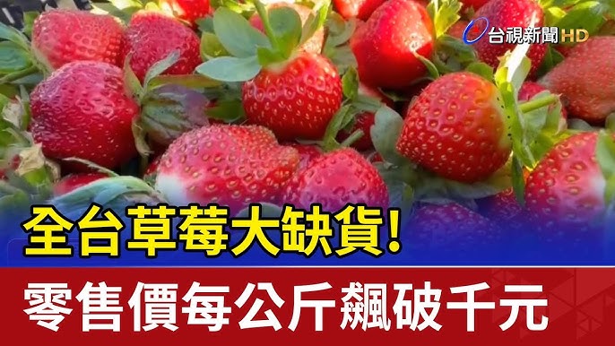 全台草莓大缺貨！ 零售價每公斤飆破千元