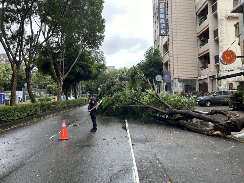 凱米颱風來襲台中市區多處路樹倒塌、號誌脫落| 地方| 中央社CNA