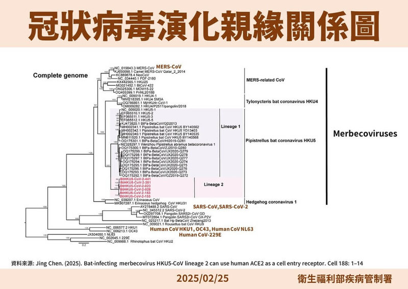 中國發現新冠狀病毒WHO稱大流行機會不大、疾管署審慎評估| 生活| 中央社CNA
